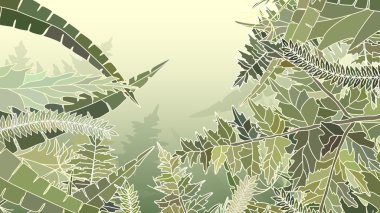 birçok farklı çimen yatay arka plan.