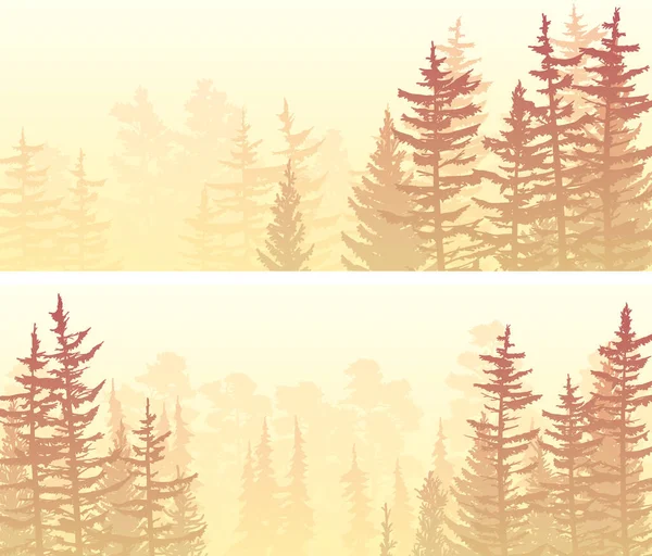 Napnyugtakor Vagy Napkeltekor Fenyőfákkal Fákkal Díszített Ködös Tűlevelű Erdőkkel Díszített — Stock Vector