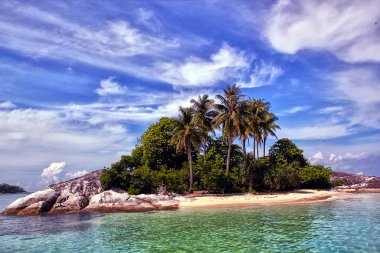 belitung deniz kaya ve hindistancevizi ağacı olan küçük ada