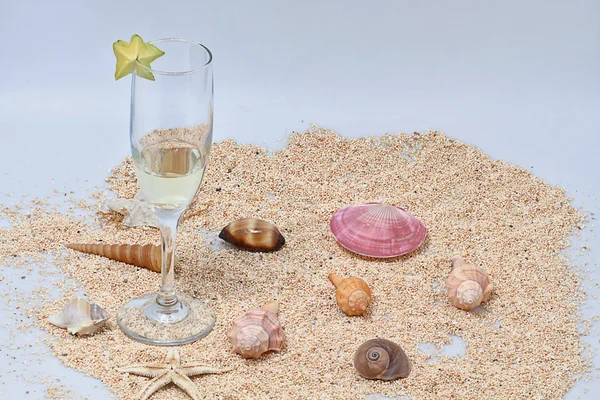 Vino, sabbia e conchiglie, fondo bianco — Foto Stock