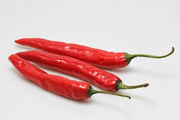 Hot red chili — Stock Photo, Image