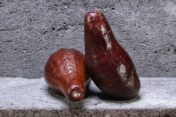 Avokado på sten — Stockfoto