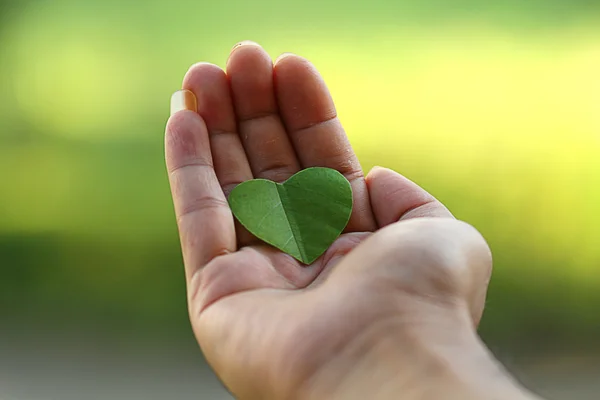 Green heart on palm, isolated green back ground — Stock Photo, Image