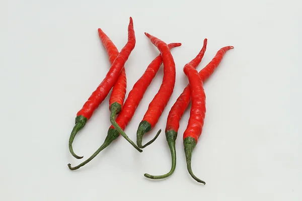 Hugging chilies, isolated on white background — Stock Photo, Image