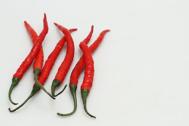 chilies kucaklayan, beyaz zemin üzerine izole