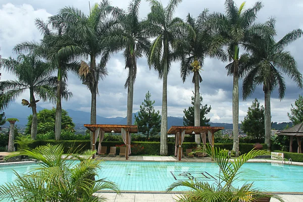Havuz ve palmiye ağaçları — Stok fotoğraf