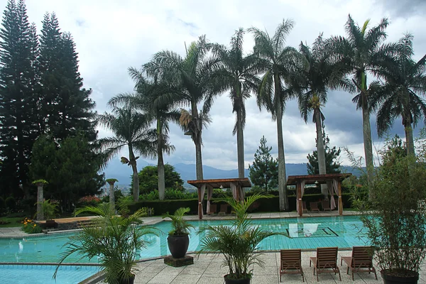 Havuz ve palmiye ağaçları — Stok fotoğraf