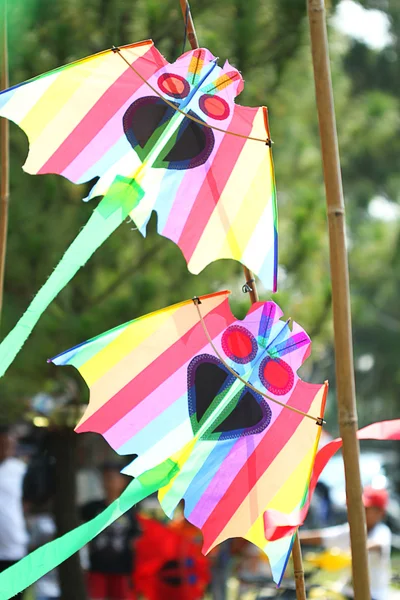 Colors kite — Stock Photo, Image