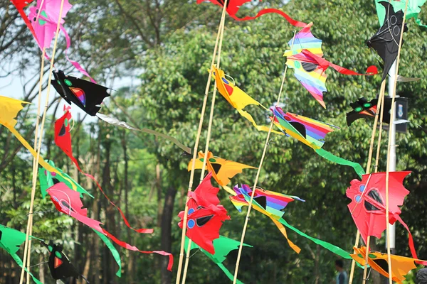 Colors kite — Stock Photo, Image