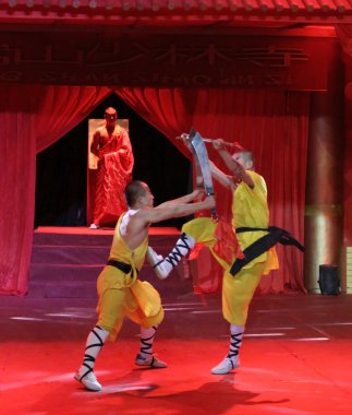 Shaolin kung fu