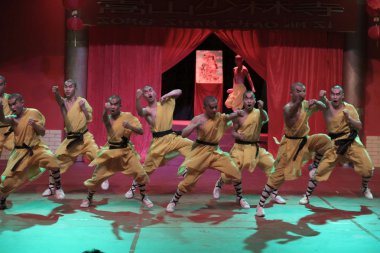 Shaolin kung fu