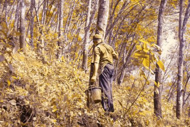 insanların faaliyetleri