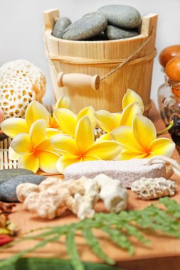 Spa, banyo aksesuarları