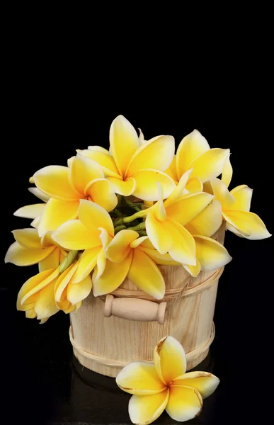 Flowers — Stock Photo, Image