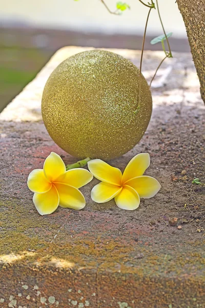 Frangipani amarillo —  Fotos de Stock