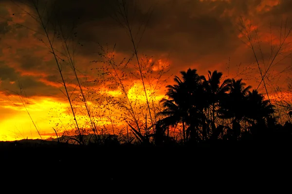 Pôr do sol — Fotografia de Stock