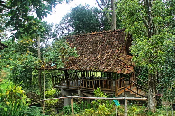 Rumah Jawa — Stok Foto