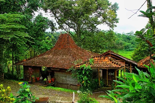 Rumah Jawa — Stok Foto