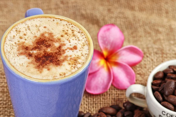 Cappuccino — Stock Photo, Image