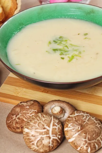 Soupe aux champignons — Photo