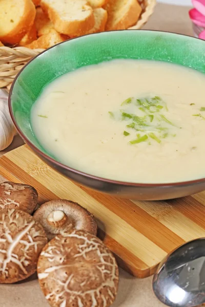 Mushroom soup — Stock Photo, Image