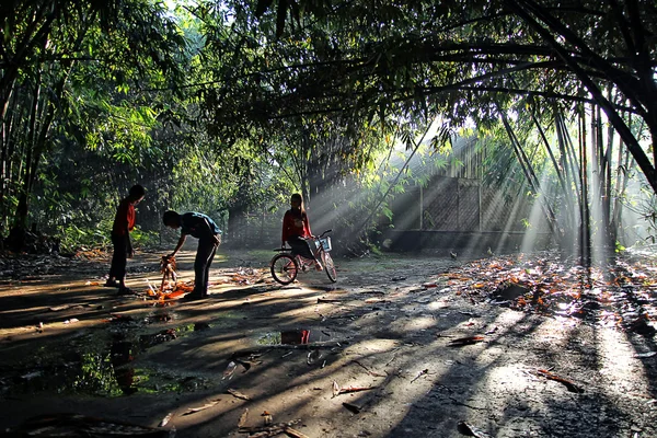 Raio de luzes — Fotografia de Stock