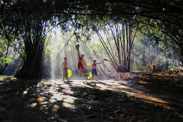 Raio de luzes — Fotografia de Stock