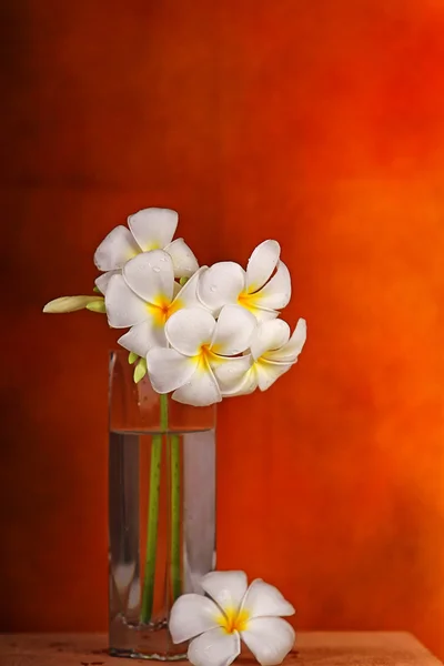 Flores de Bali — Foto de Stock