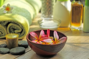 Bali ve Endonezya spa