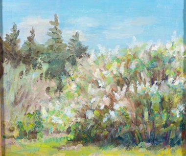 bir Eflatun çiçek açması bush