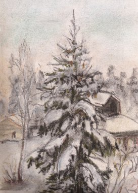 kürk-ağaç evin yanında