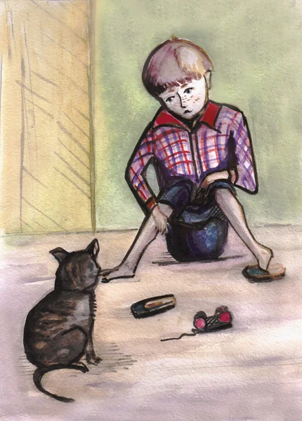 The boy and cat — Stock Photo, Image