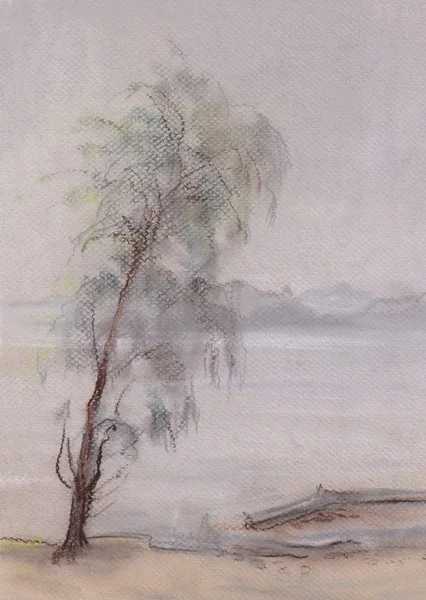 Nebel auf dem Fluss — Stockfoto