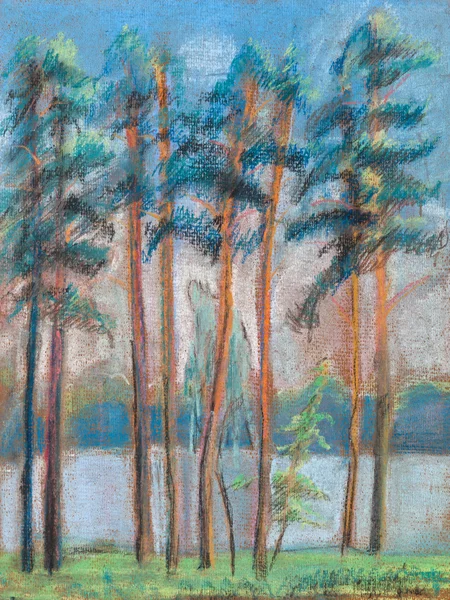 Pijnbomen op de oever van lake — Stockfoto