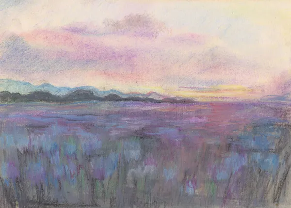 Großzügiges Feld Von Schwertlilien Sonnenuntergang Pastellmalerei — Stockfoto
