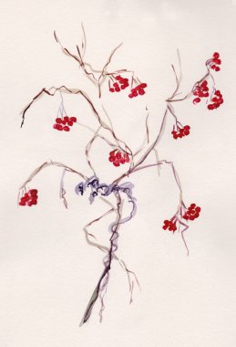 Sonbaharda böğürtlenli viburnum ağacı dalları