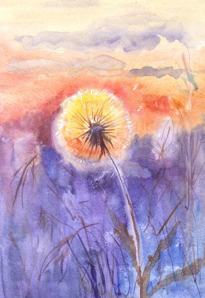 落日上的风球和青草 水彩画 — 图库照片