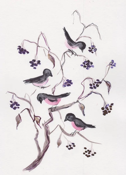 Pingouin Des Oiseaux Assis Sur Des Branches Myrtille Image En Vente