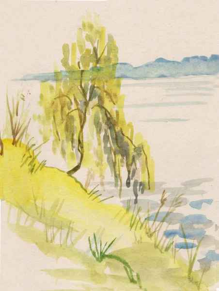 在河岸上的孤零零的桦树 — 图库照片