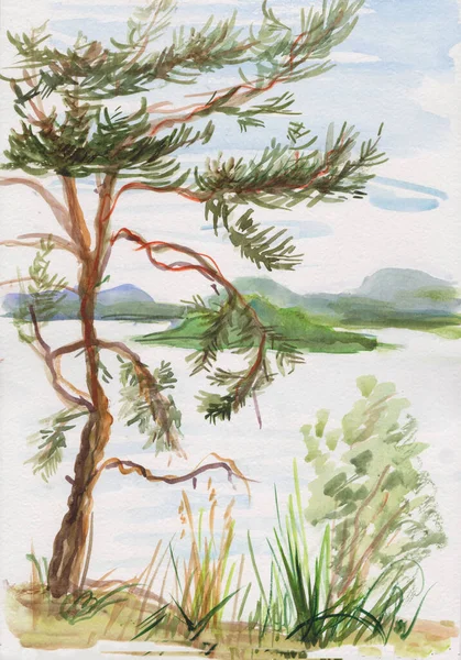 孤独な松が川の高堤 墨江に ロイヤリティフリーのストック写真