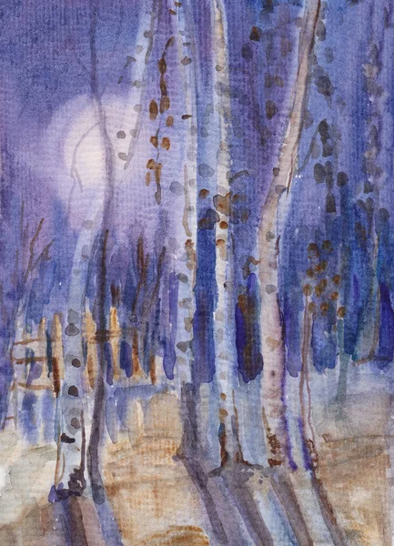 月明かりの夜水彩画の謎 — ストック写真