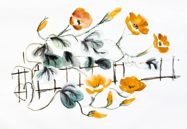 Orange Bindweed Rustik Staket Akvarell Ritning Stockbild