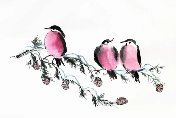 Bullfinches Fyrregrene Vinter Akvarel Tegning Stock-billede