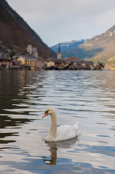 Hallstatt — Stock Photo, Image