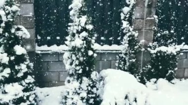 Noel tatili geçmişi, kar yağışı ve karla kaplı bahçe, kış ve Noel zamanı