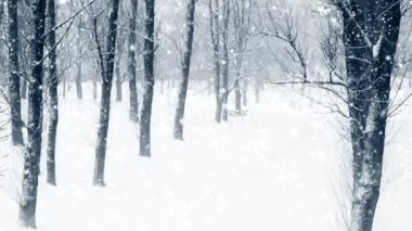 Kış ormanı Noel tatili arka planı, kar yağışı ve karla kaplı ağaçlar