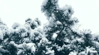 Noel tatili geçmişi, kar yağışı ve karla kaplı ağaçlar, kış ve Noel zamanı