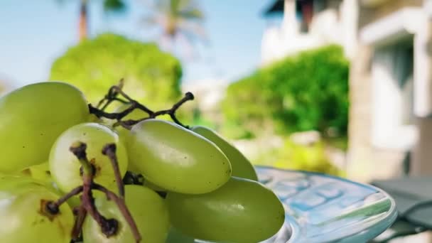 夏に屋外でプレート上の有機緑のブドウ,背景に地中海の風景 — ストック動画