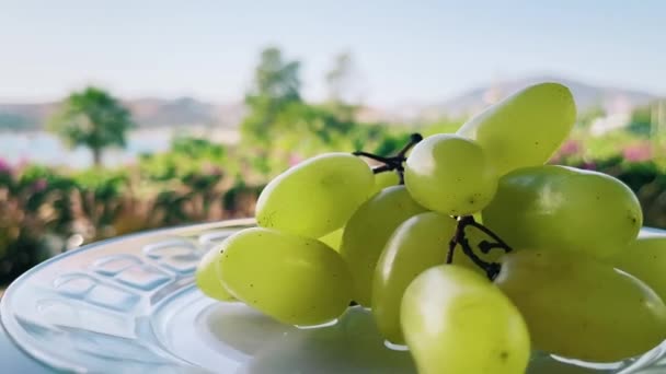 Biologische groene druiven op bord buiten in de zomer, mediterraan landschap op achtergrond — Stockvideo