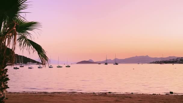 Tropisk sandstrand utsikt vid solnedgången, palm, hav och berg, sommar semester och resmål b-roll — Stockvideo